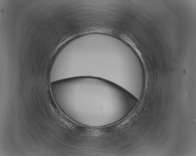 X0000085240249200703090929