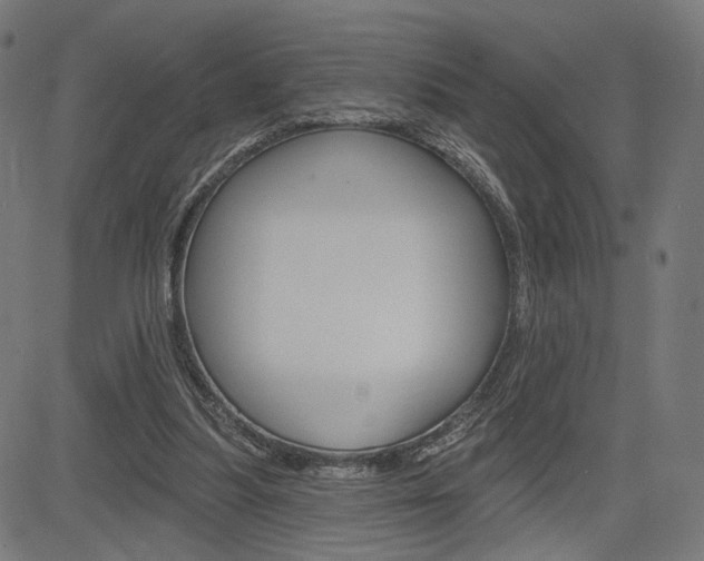X0000085240251200703090929