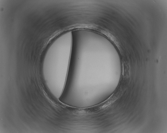 X0000085240253200703090929