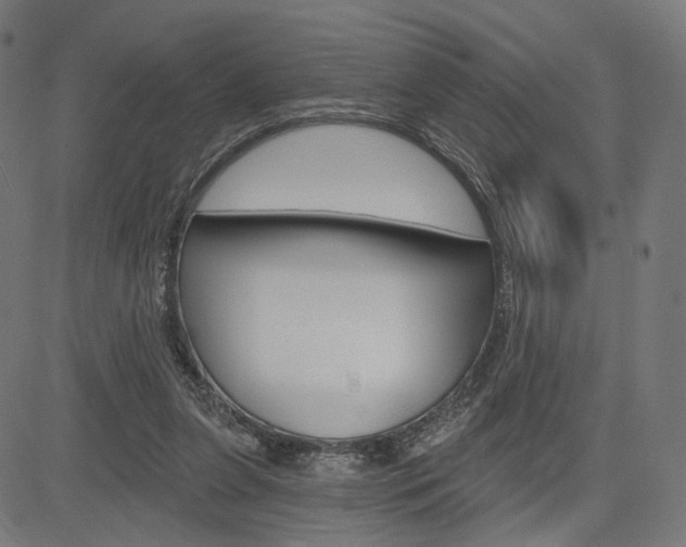 X0000085240255200703090929