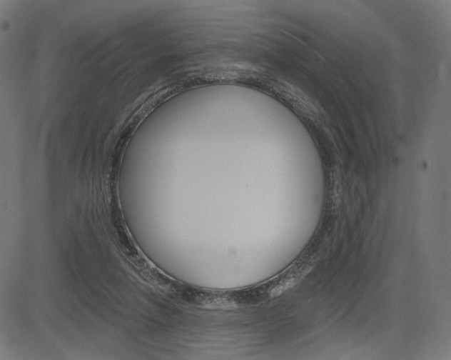 X0000085240258200703090929