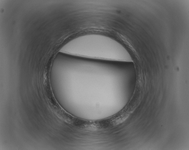 X0000085240259200703090929