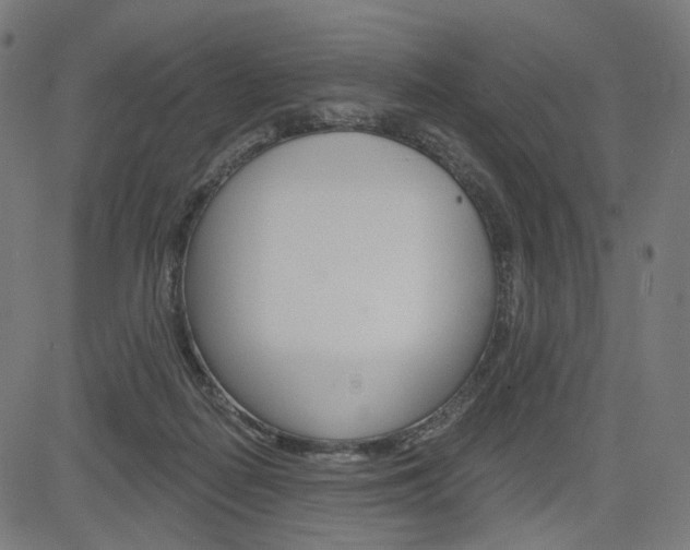 X0000085240266200703090929