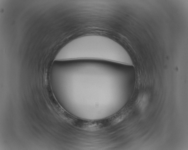 X0000085240267200703090930
