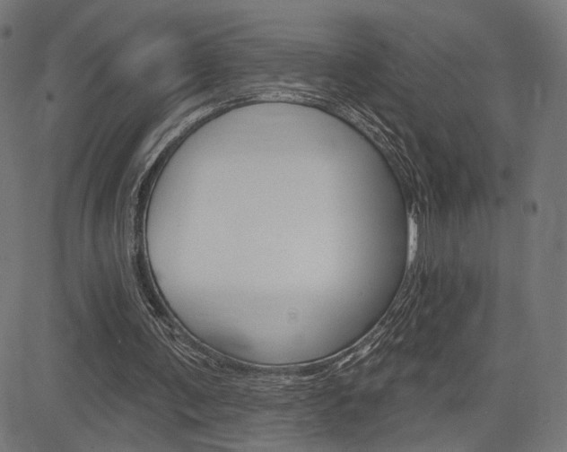 X0000085240291200703090929