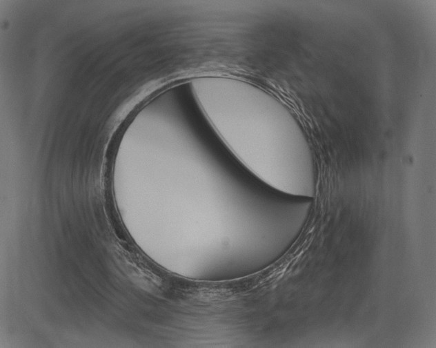 X0000085240292200703090929