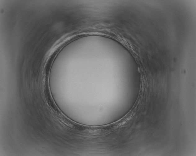 X0000085240295200703090929