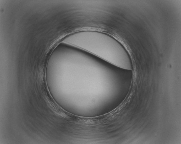 X0000085240297200703090929