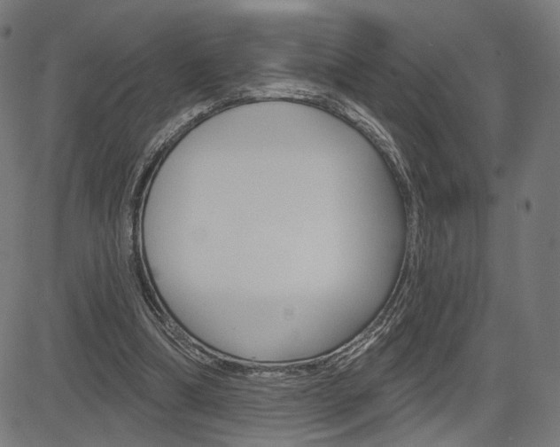 X0000085240298200703090929