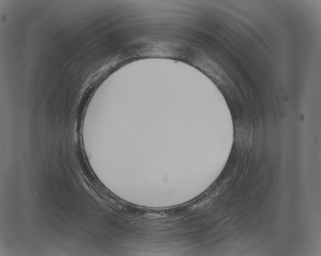 X0000085240302200703090929