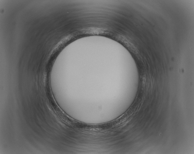 X0000085240304200703090929