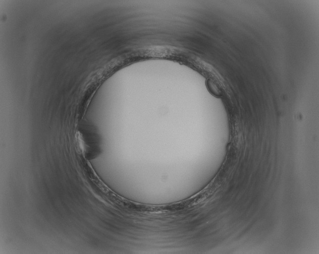 X0000085240307200703090929