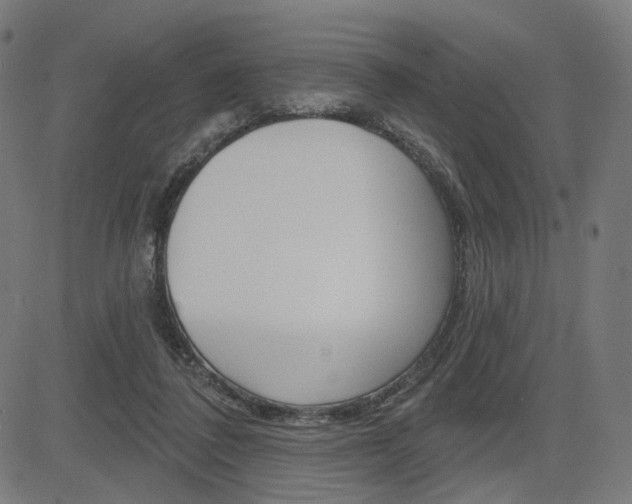X0000085240308200703090929