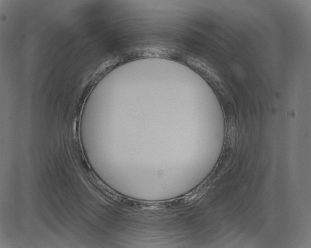 X0000085240310200703090929