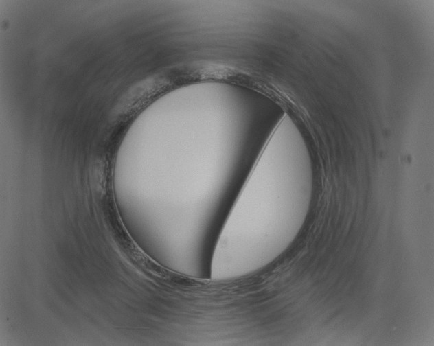 X0000085240311200703090929