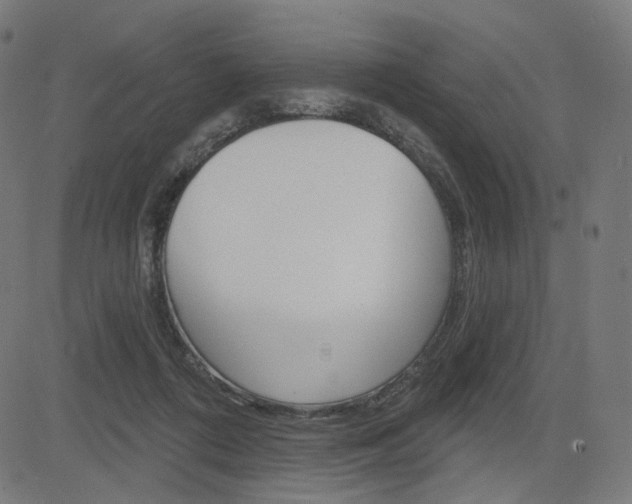 X0000085240312200703090929