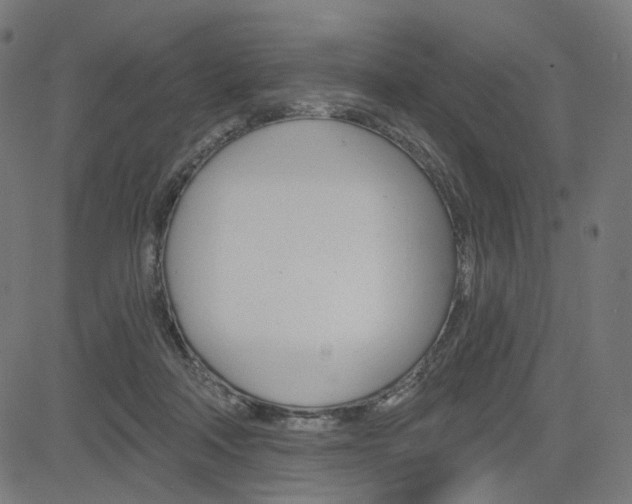 X0000085240314200703090929