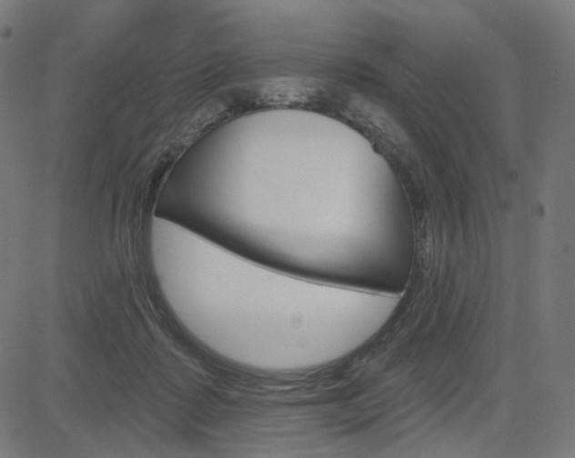 X0000085240315200703090929