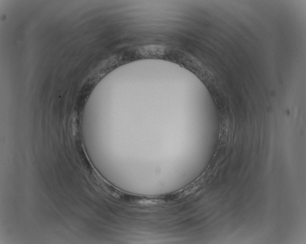 X0000085240323200703090928