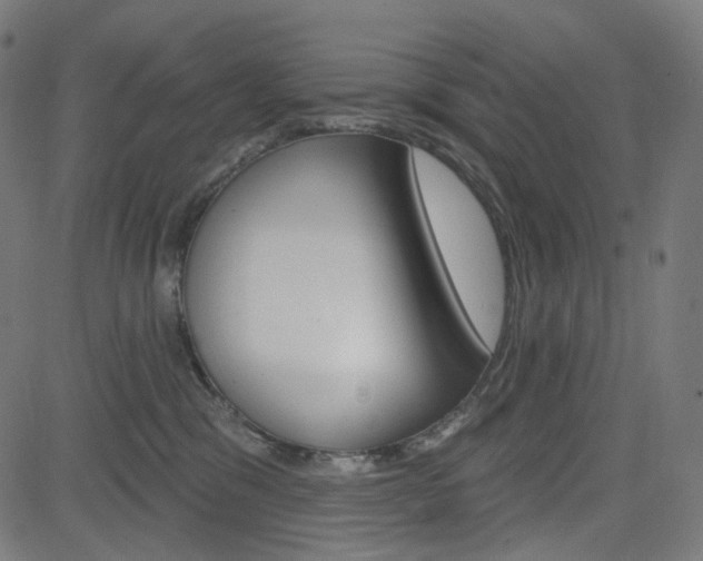 X0000085240329200703090928