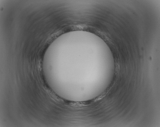 X0000085240331200703090928