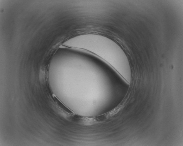 X0000085240333200703090928