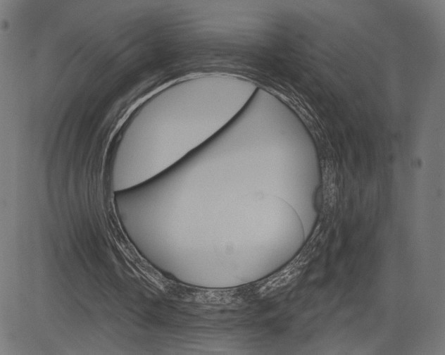 X0000085240338200703090928