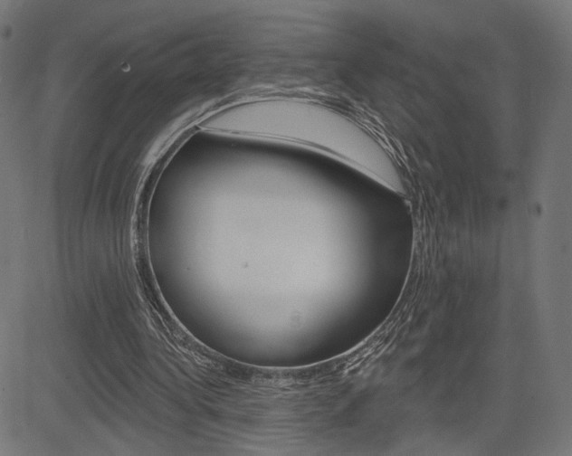 X0000085240340200703090928