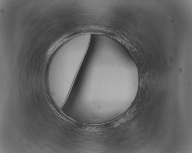 X0000085240341200703090928