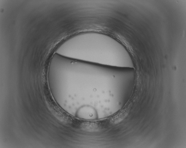 X0000085240354200703090928