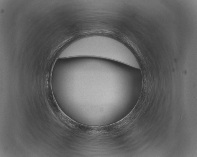 X0000085240356200703090928
