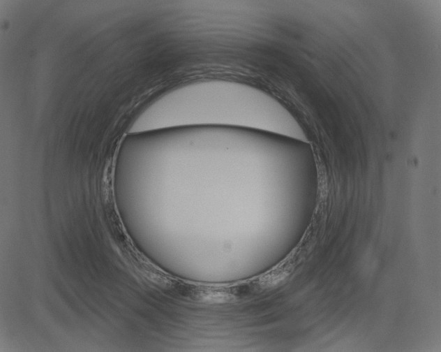 X0000085240360200703090928