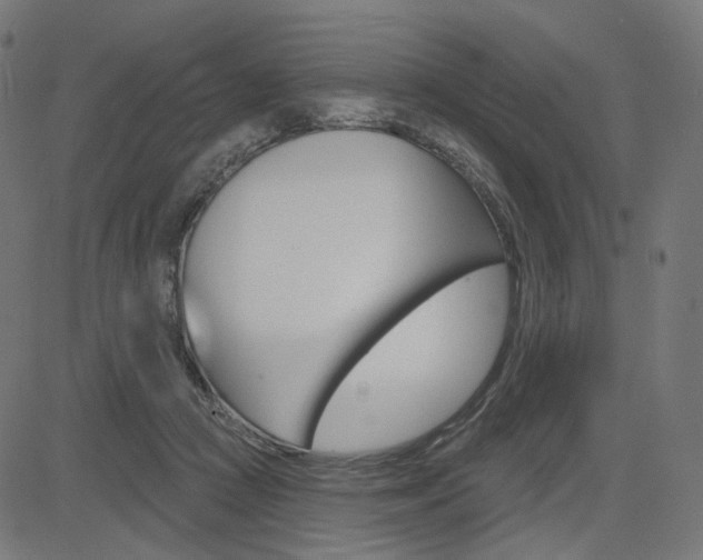 X0000085240361200703090928