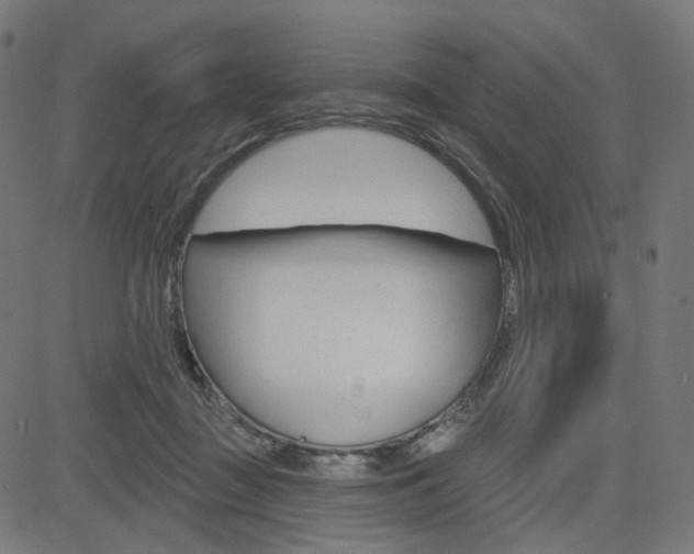 X0000085240363200703090928