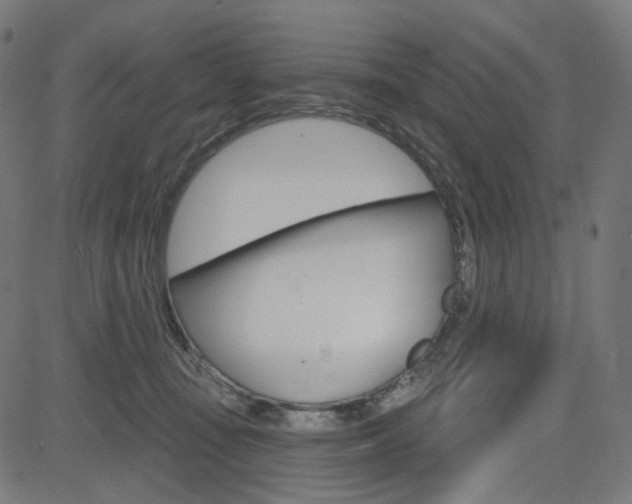 X0000085240371200703090928