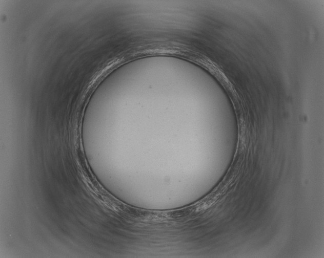X0000085240386200703090927