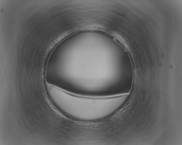 X0000085240389200703090927