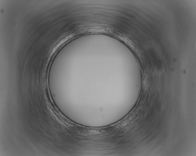 X0000085240390200703090927