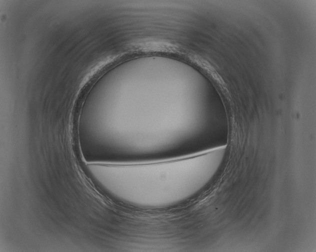 X0000085240391200703090927