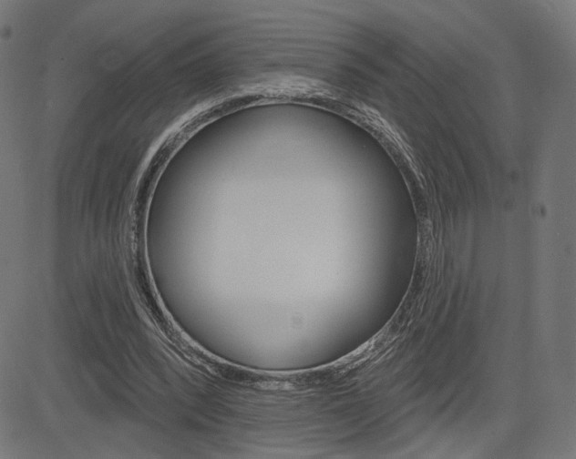 X0000085240392200703090927