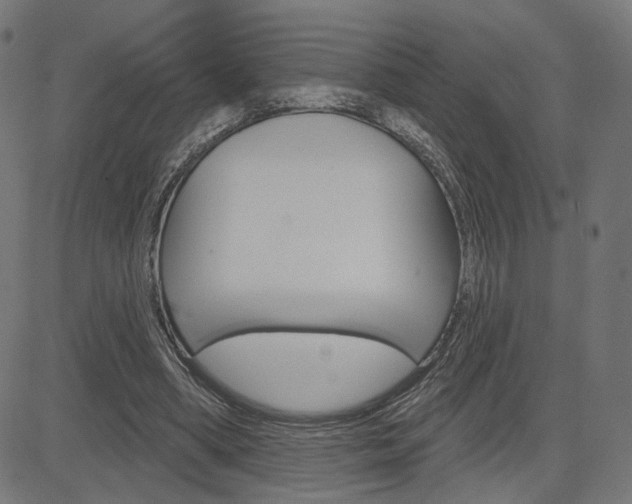 X0000085240394200703090927