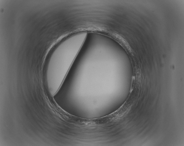 X0000085240395200703090927