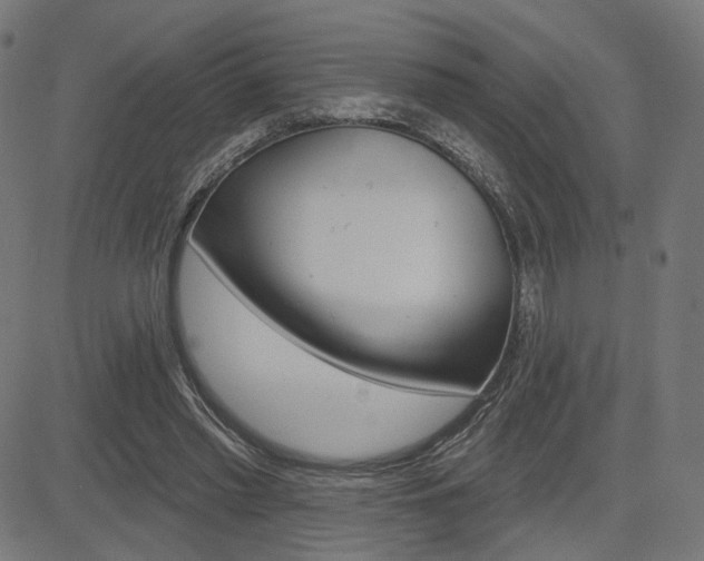 X0000085240397200703090927