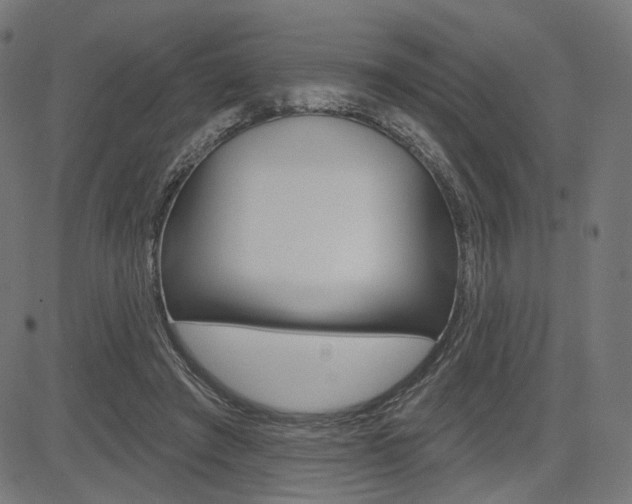 X0000085240401200703090927