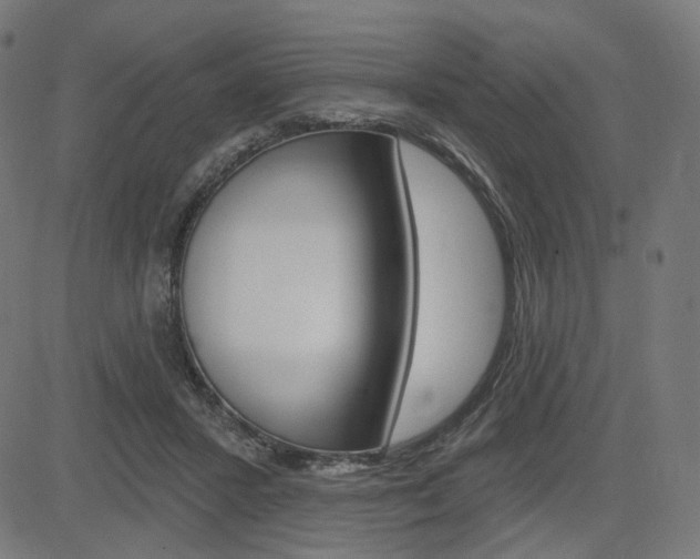 X0000085240407200703090927