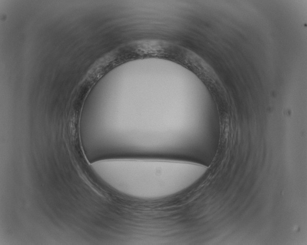 X0000085240408200703090927