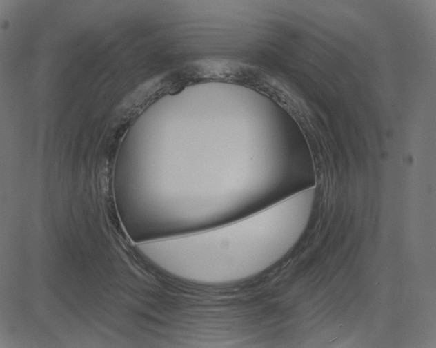X0000085240413200703090927