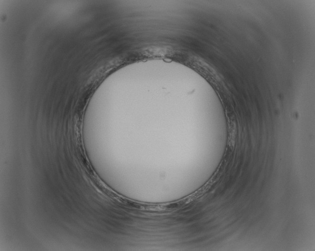 X0000085240414200703090927