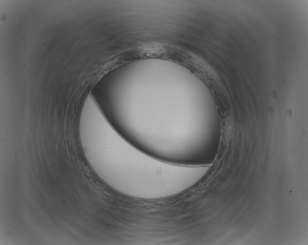 X0000085240417200703090927