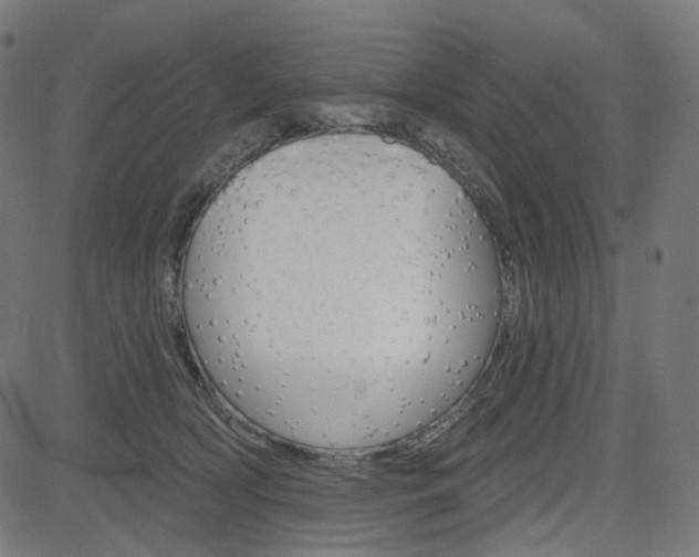 X0000085240418200703090927